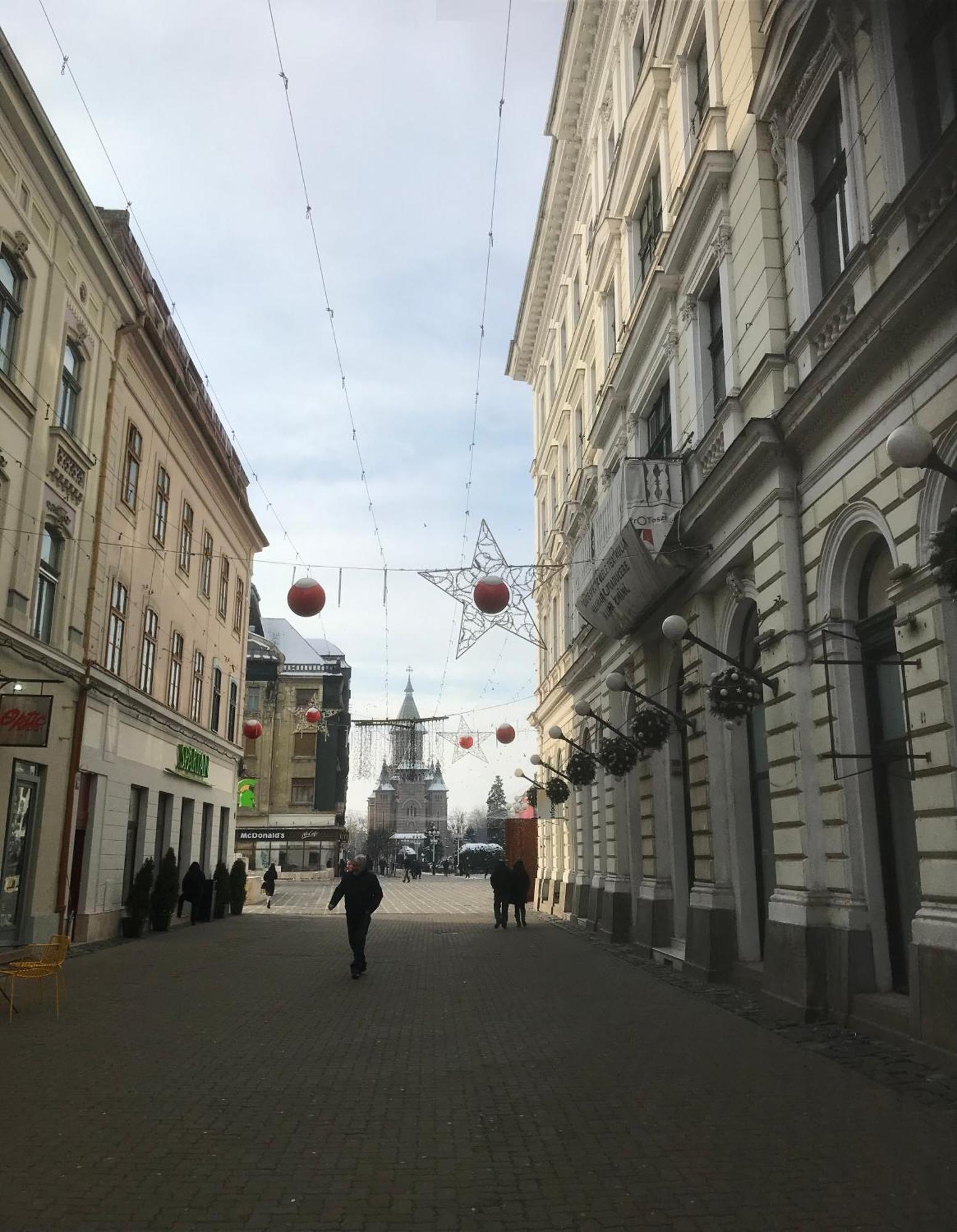 Apartment Casa Max Timisoara