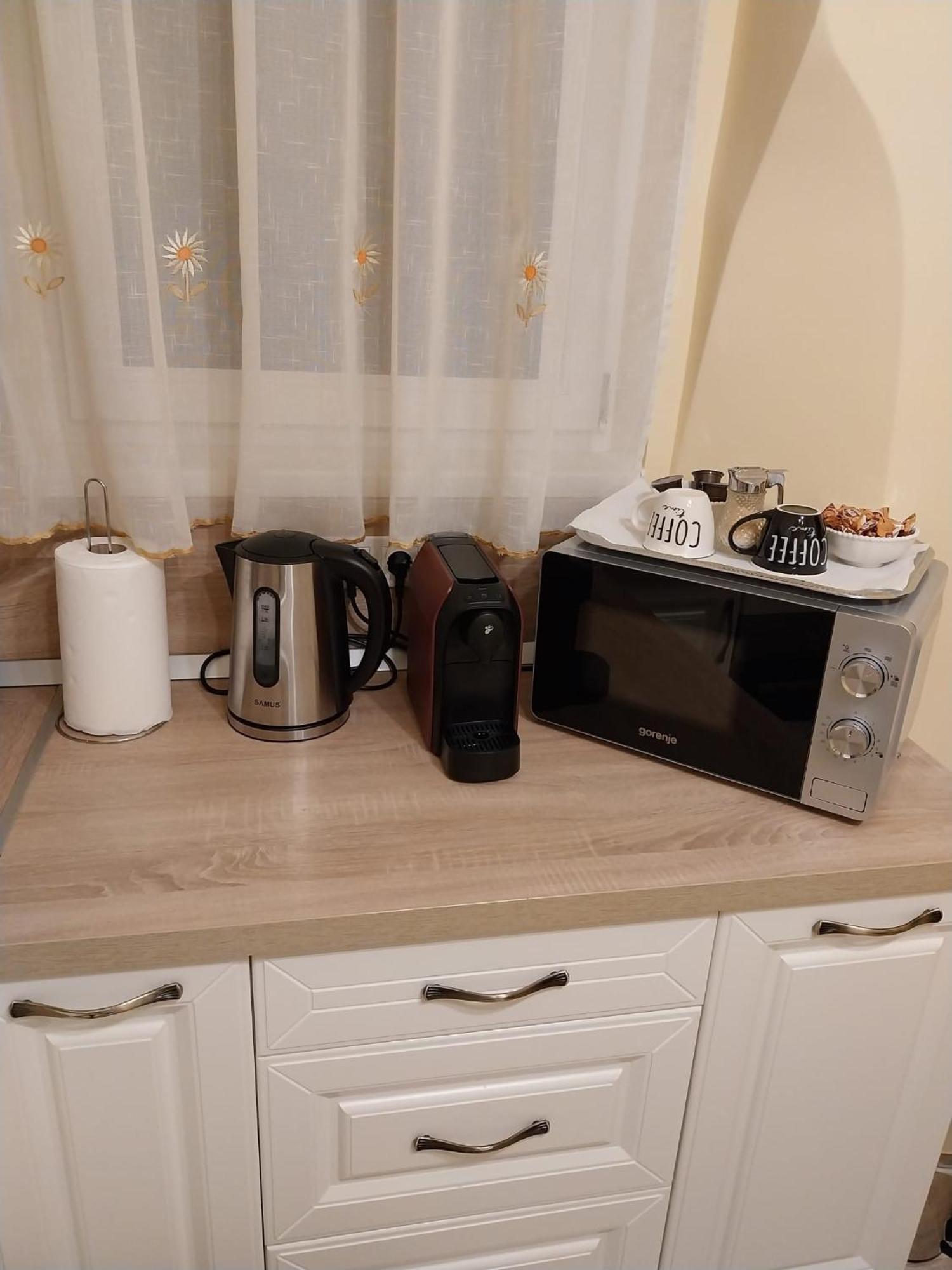Casa Max Apartment Timisoara
