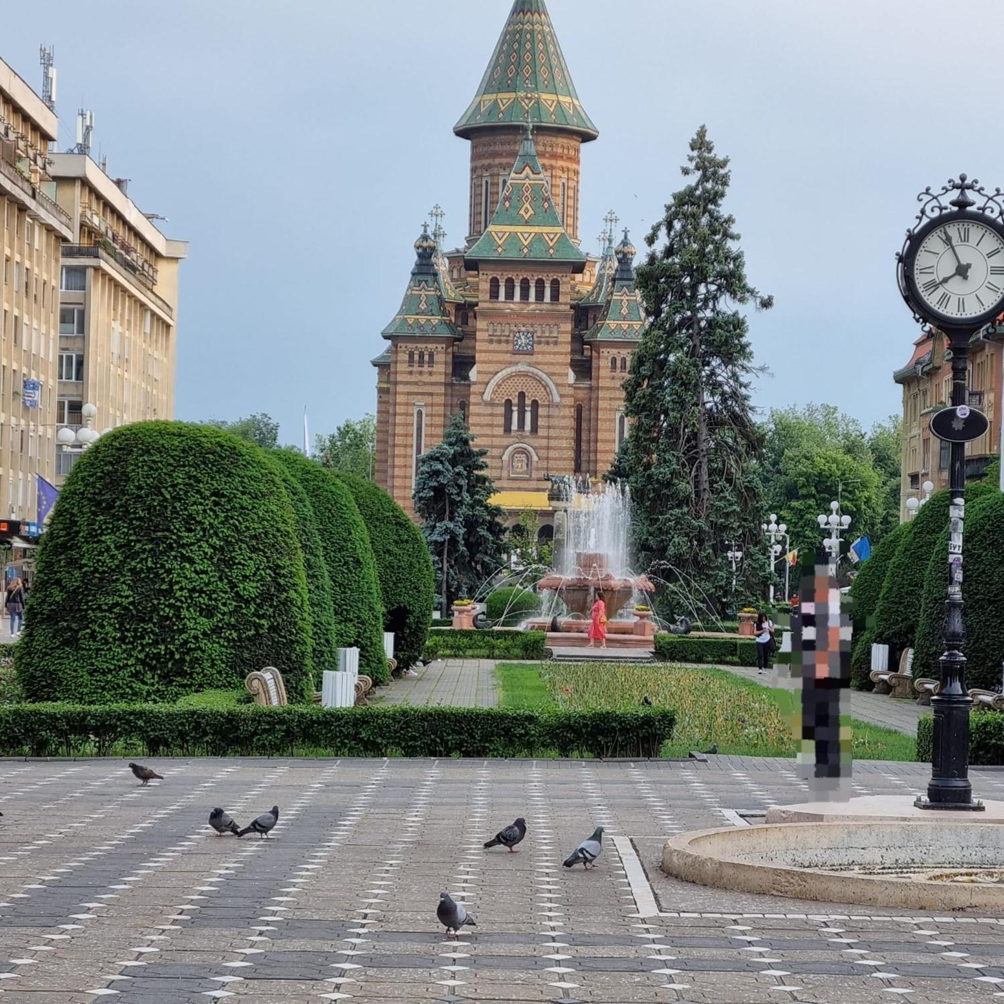 Casa Max Timisoara